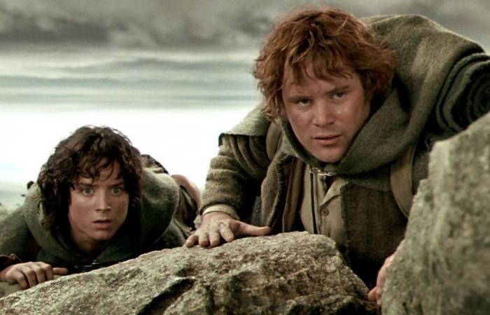 you save Boromir if you get 5/5 on this quiz on Frodo