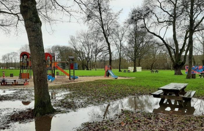 heavy rain, violent winds and risk of flooding in Sarthe, according to Météo-France