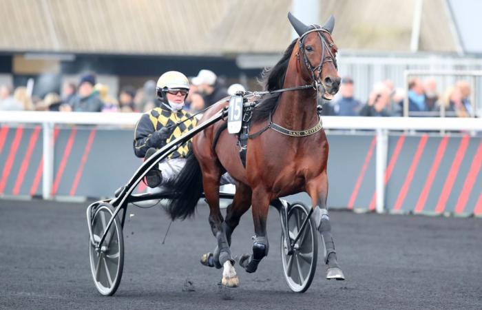 Prix ​​d’Amérique Legend Race 2025: San Engine, the ambitious visitor – Paris Turf