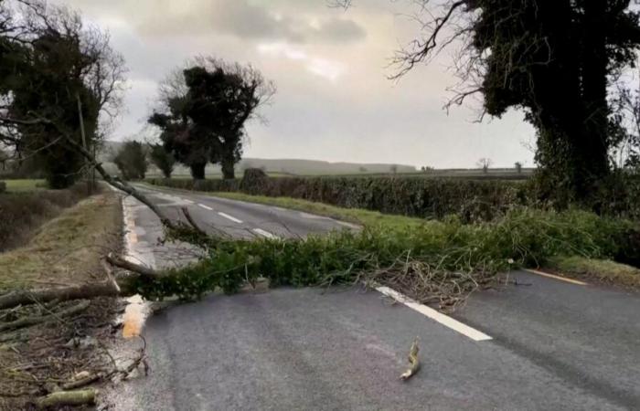 Records winds, more than 800,000 private electricity households: the Eowyn storm strikes Ireland