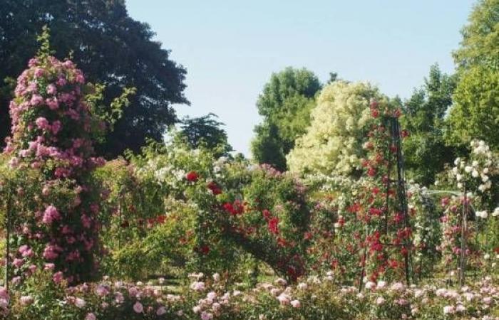 Île-de-France highlights its 45 remarkable gardens