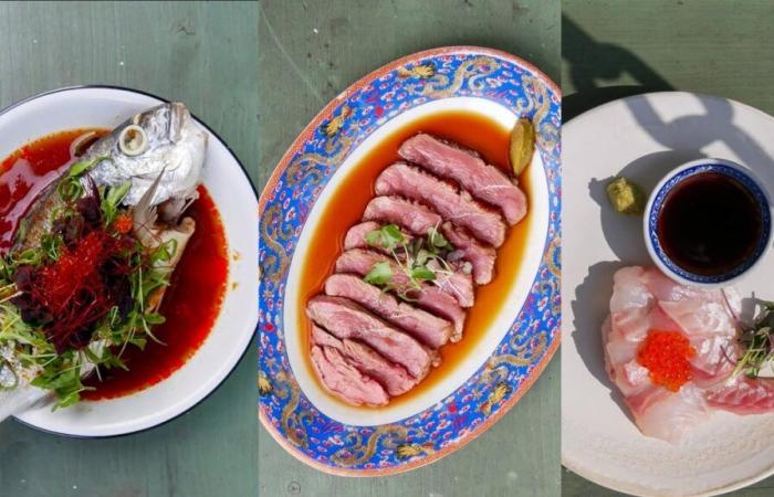 Ultra fresh fish and Japanese dishes to die for in this izakaya in the 11th