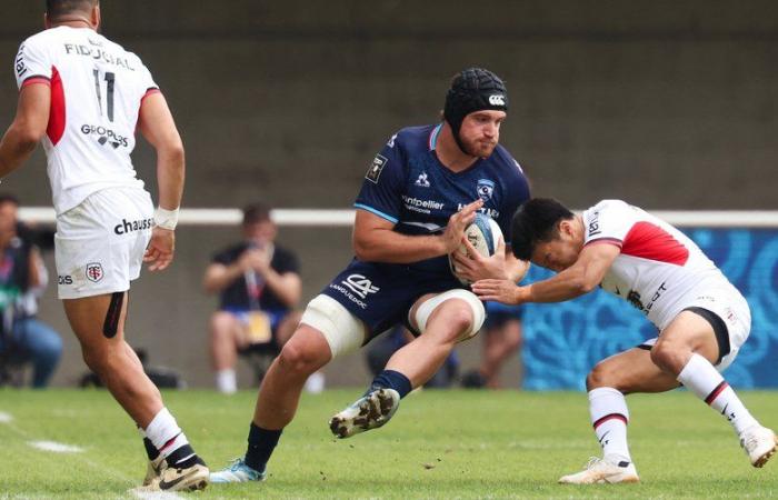 Stade Toulousain – Montpellier: “Since the cadets, Toulouse has won everything” launches an international from the MHR before the Occitanie derby