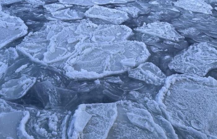 The Côte-Nord polar vortex in photos