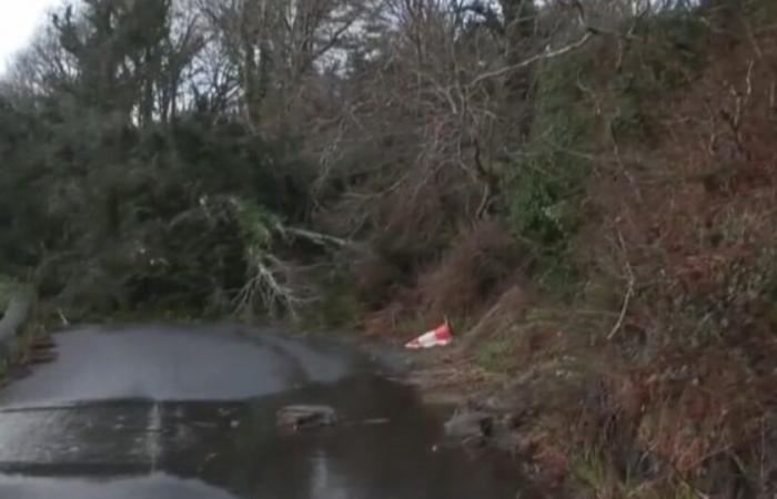 Eowyn storm: one million households without electricity in Ireland and Scotland, a man died: News