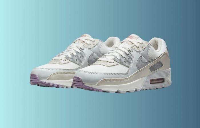 Nike strikes hard and crushes the price of these air max 90 during the sales