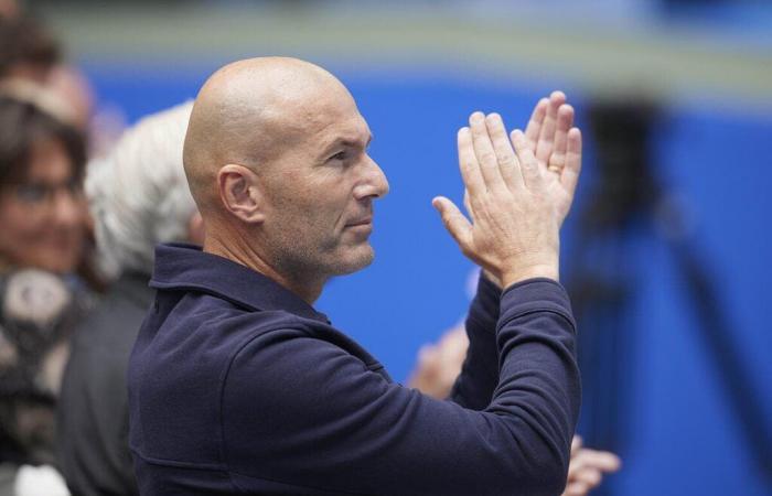 Zidane chips to France, Belgium has dared