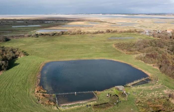 Channel: Two young hunters aged 20 and 21 discovered dead in the early morning in their gabion