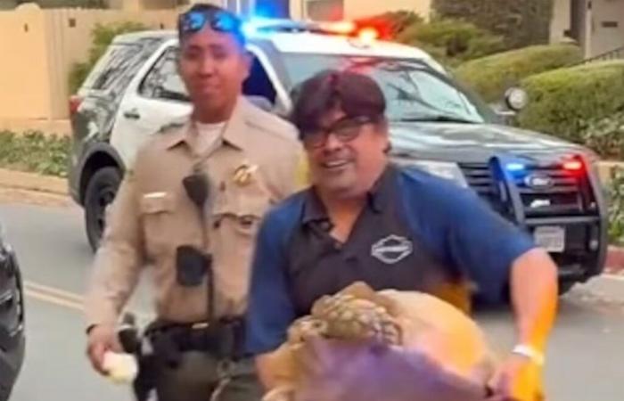 The emotion of a Los Angeles family who found their pet turtle after the fires