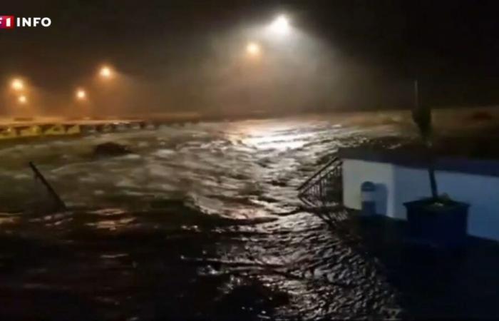 Eowyn storm: the images of the strong winds that have swept away Ireland and Brittany