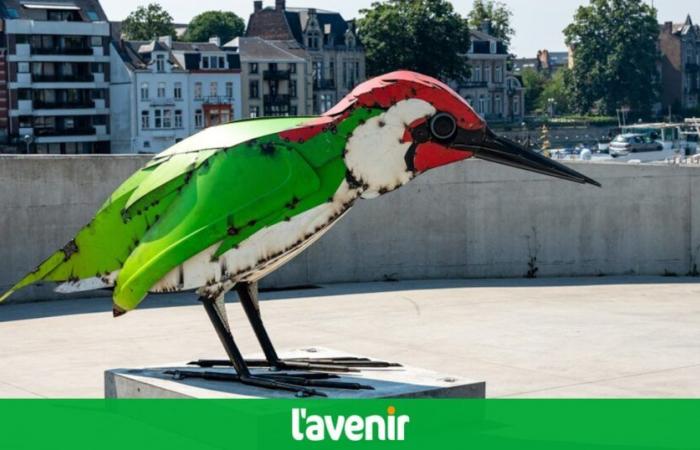 Namur: The monumental Kalbut animal sculptures will settle in permanently