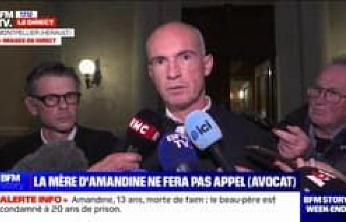 BFMTV in front of the house of Montierchaume (Indre), where the GIGN found the co -founder of Ledger