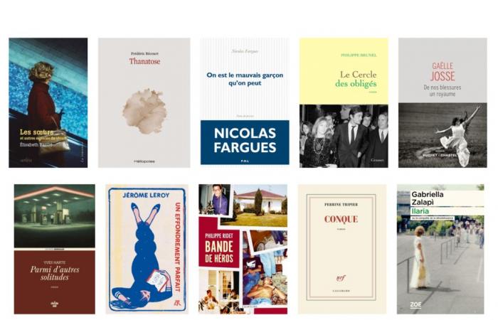 The ten works selected for the 2025 Jean Freustié prize