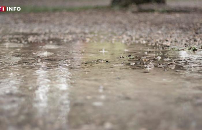 Storm eowyn: why saturation of water soils is likely to worsen the situation