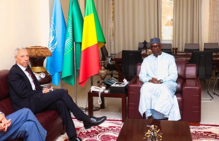 Mali and the EU explore new prospects for cooperation | Apanews