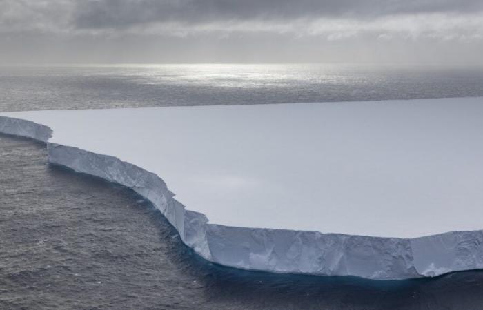 A gigantic iceberg, as big as Tarn-et-Garonne, will hit a British island