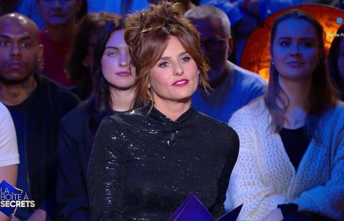 The box of secrets: end clap for Faustine Bollaert on France 3