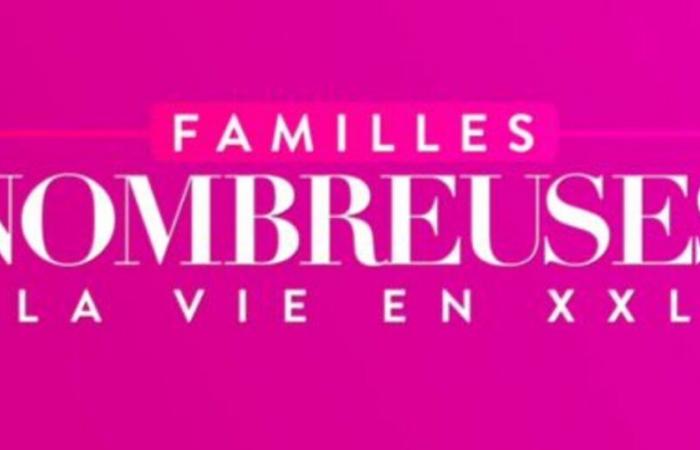 Large families finally back on TF1, these new tribes that join the program