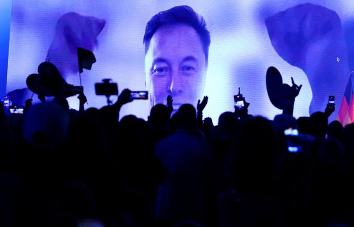 Germany | Elon Musk intervenes in a rally of the far -right party