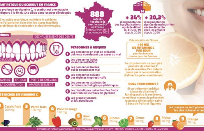 “It’s not just a disease of the past”: the return of scurvy in France, more than 100 cases per year among children