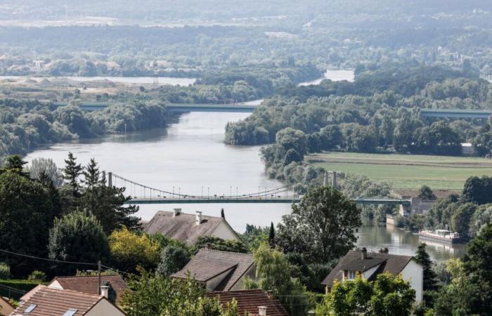 The Seine polluted over 15 kilometers after a leak of polystyrene balls in Yvelines