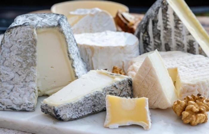 Reminder of Morbier cheeses sold throughout France after possible contamination by the bacteria E. coli