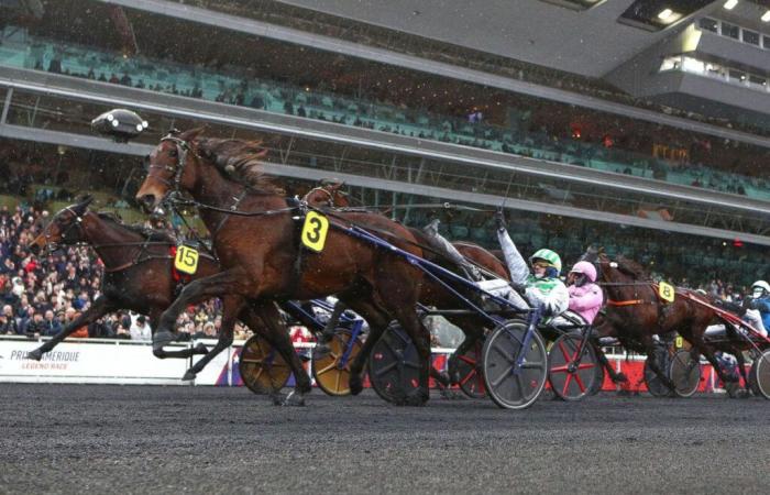 Bold Eagle Prize 2025 at Paris-Vincennes: one hell of a Kokote!