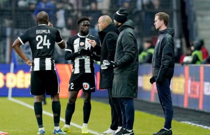 behind the scenes of the sporting success of Angers, the smallest budget in Ligue 1