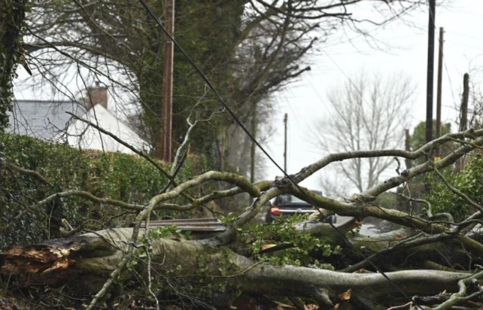 Eowyn storm: thousands of private electricity households in Ireland