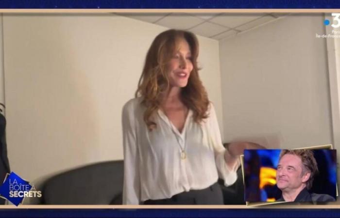 Carla Bruni makes a somewhat embarrassing confession on David Hallyday