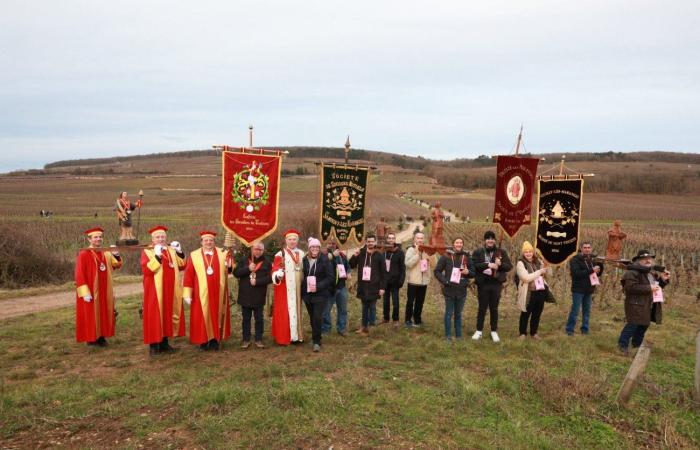 Burgundy: Let's go for the Tournant Saint-Vincent of Ladoix-Serrigny