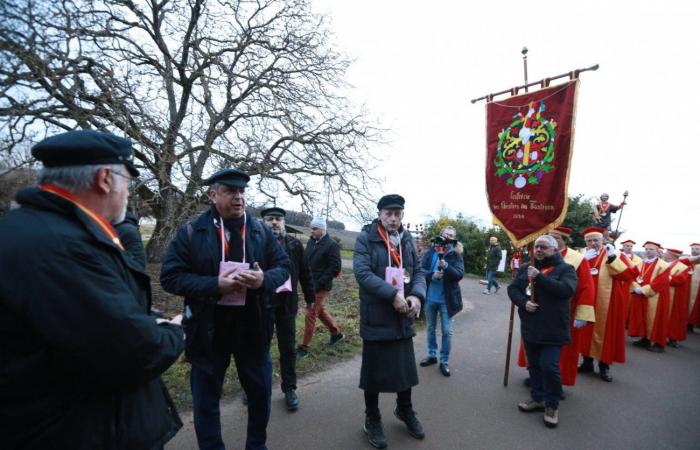 Burgundy: Let's go for the Tournant Saint-Vincent of Ladoix-Serrigny