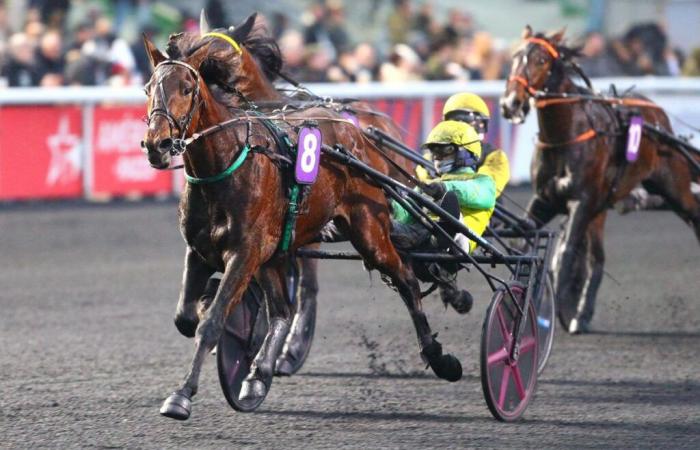 Paul Viel Prize 2025 at Paris-Vincennes: Golden Gio continues