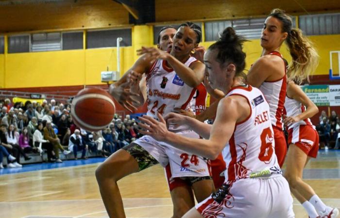 Poinçonnet Basket narrowly avoids the trap in Dijon