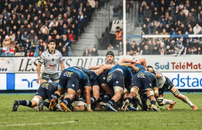 Rugby – Top 14: with Gorgadze and Whitelock, the Paloise Section finally brings together its big bosses