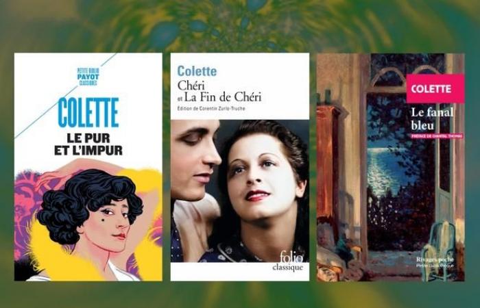 Three pocket books advised by François Angelier: Colette in the spotlight