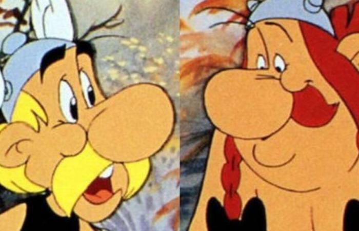 Asterix, Obelix or both?