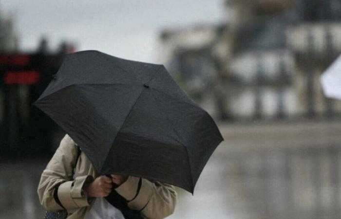 Météo France places Paris and part of Île-de-France on wind alert