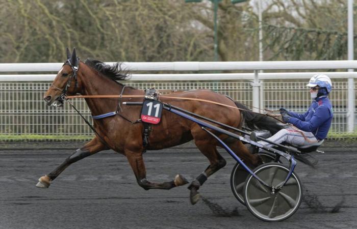 Go On Boy, favorite for the Prix d’Amérique