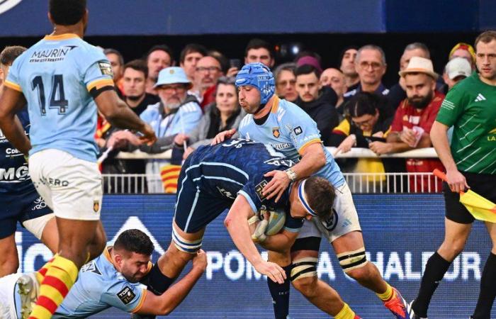 Top 14 – “Give the keys to the truck to Lucas Velarte”: the opinion of the Midol after Perpignan – Bayonne