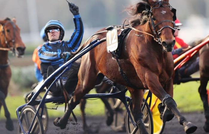 Quinté of Sunday, January 26: Idao de Tillard in search of a second title in the Prix d’Amérique