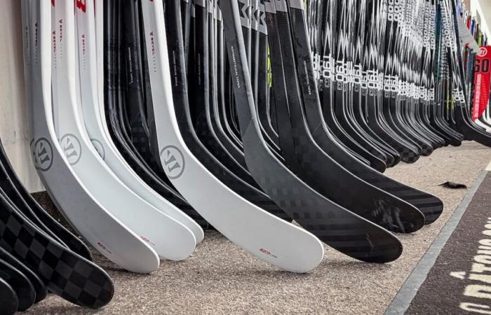 Stands for adolescents at $ 500: “it’s the worst anarch”, estimates a hockey worker