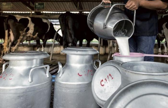 Milk production: an artificially remedied decline