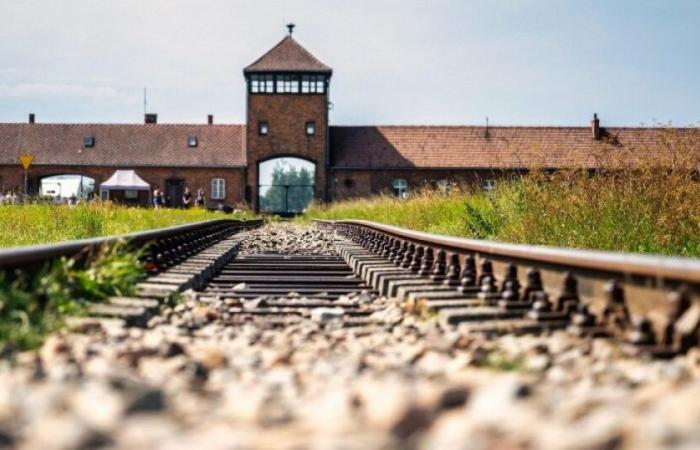 80th anniversary of the liberation of Auschwitz: who will be invited to the commemorations? : News