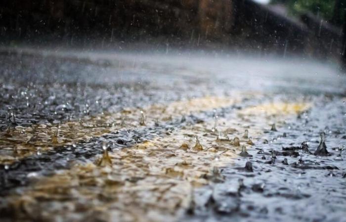 Weather: Three departments placed in a vigilance rain-run and floods: News