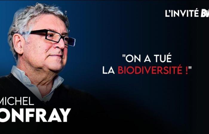 [L’INVITÉ] Michel Onfray denounces the humiliation experienced by French farmers