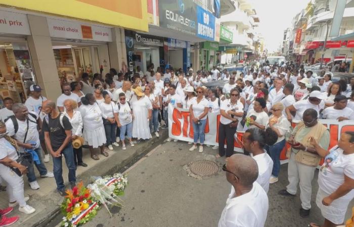 In PICTURES. A white march in tribute to Kimaël, 16, killed in Pointe-à-Pitre, on the sidelines of the carnival