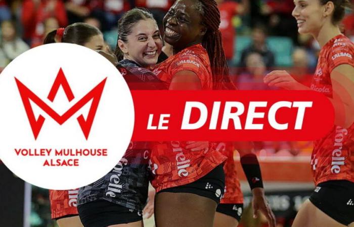 Volleyball. Follow the match between the Volley Mulhouse Alsace and Paris-Levallois live from 8:30 p.m.