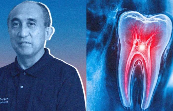 The Japanese researcher who wanted to regrow teeth