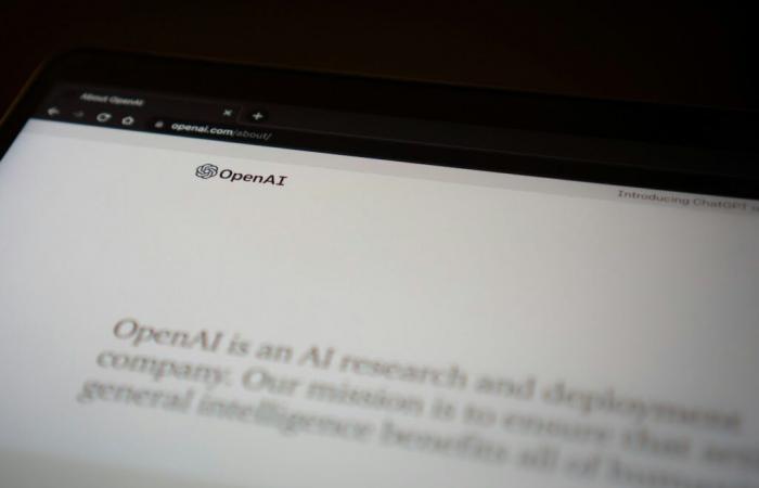 Why Book publishers in India attack Openai in court